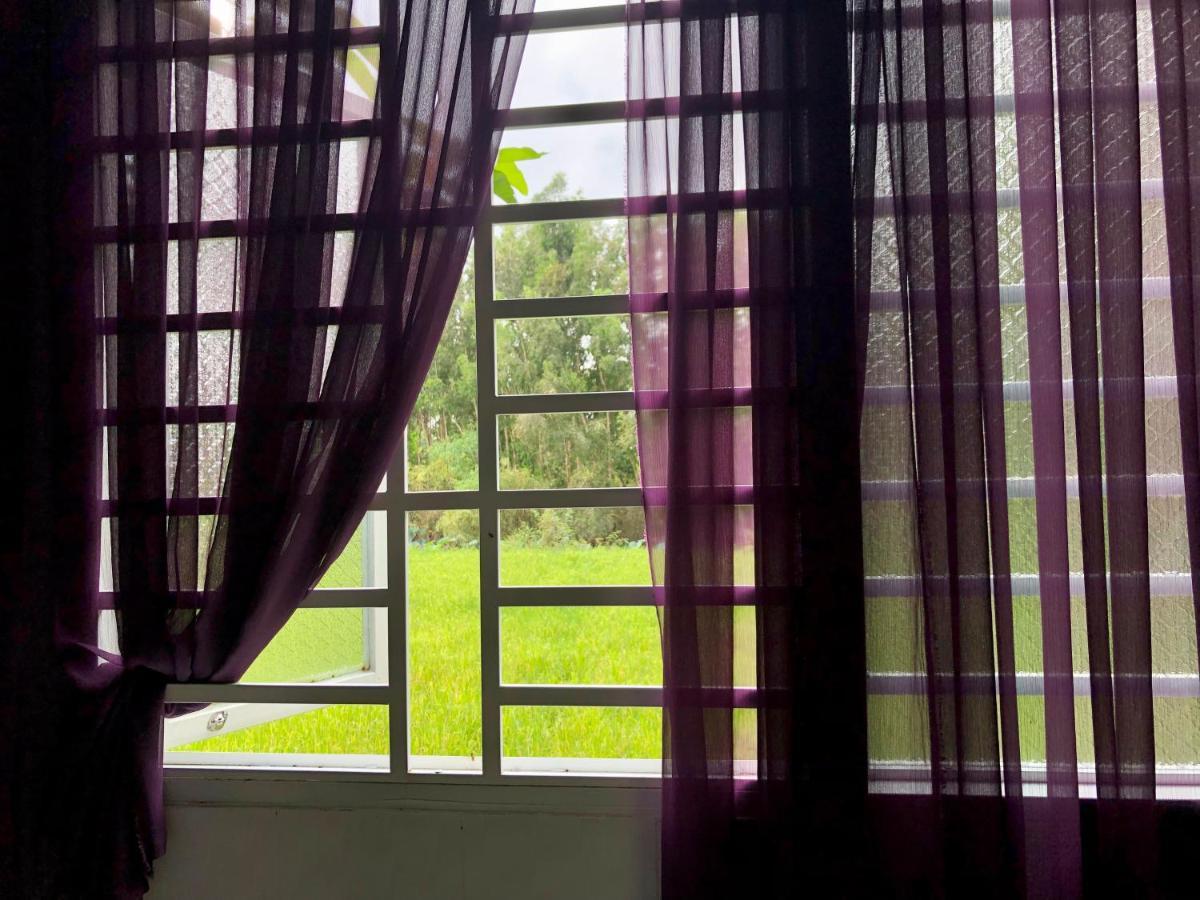 Huong Tram Homestay Ho Da Екстер'єр фото