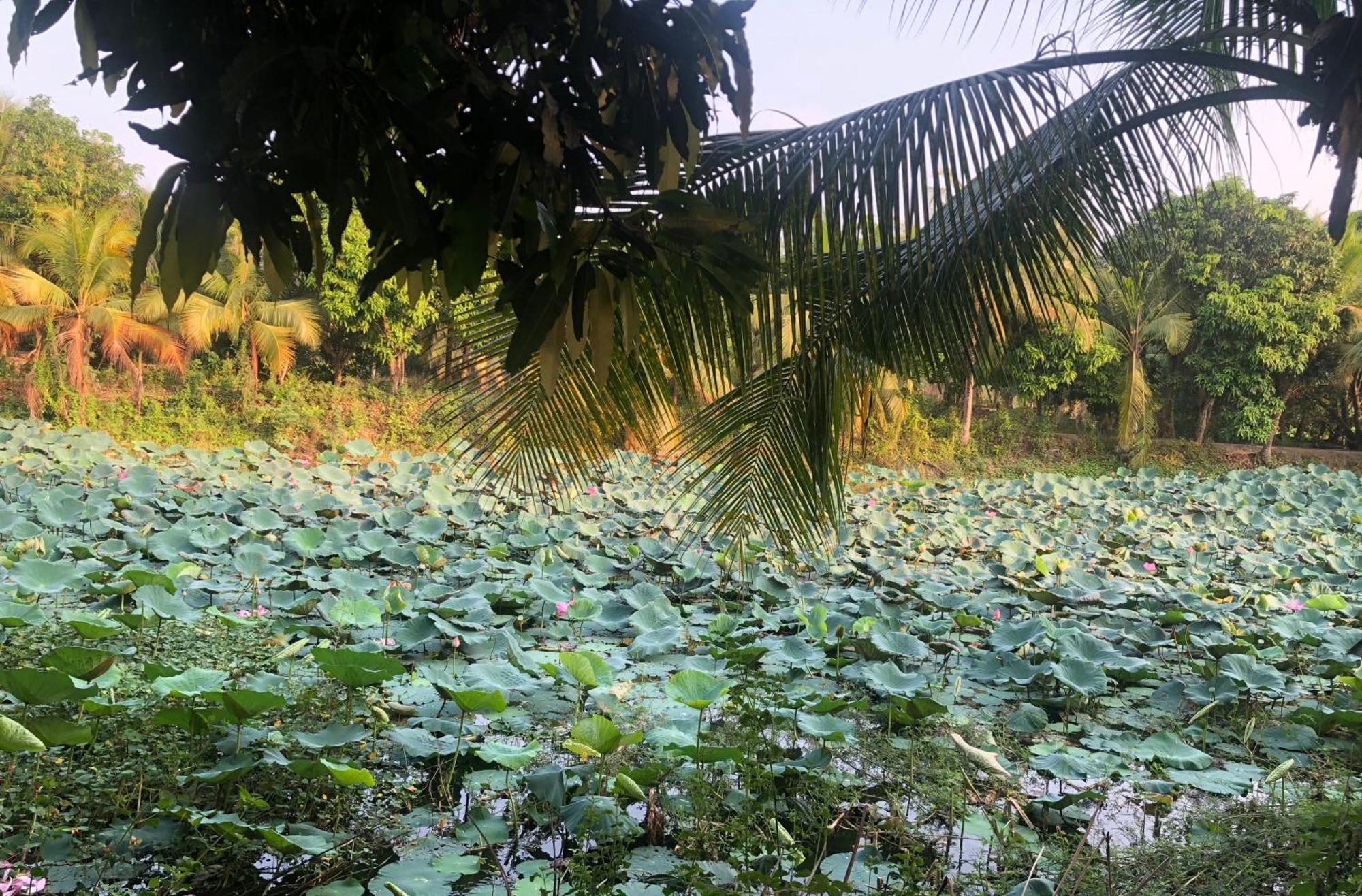 Huong Tram Homestay Ho Da Екстер'єр фото