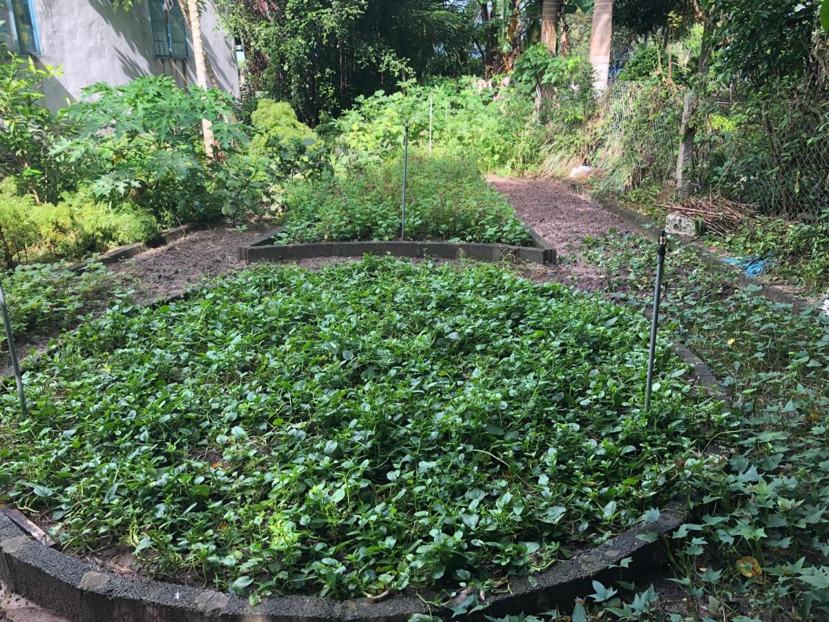 Huong Tram Homestay Ho Da Екстер'єр фото